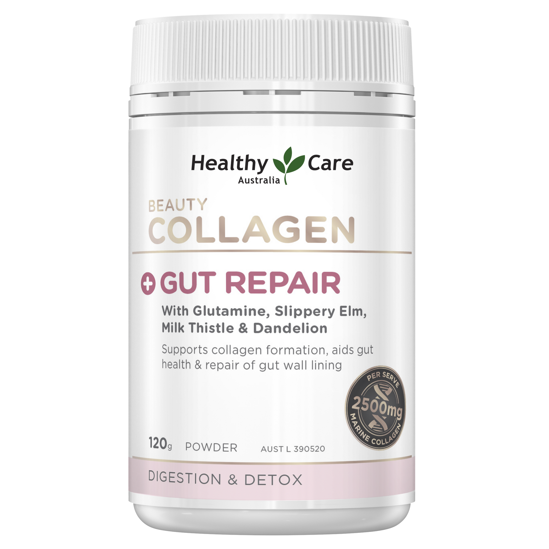 Healthy Care Beauty Collagen + Gut Repair 120g