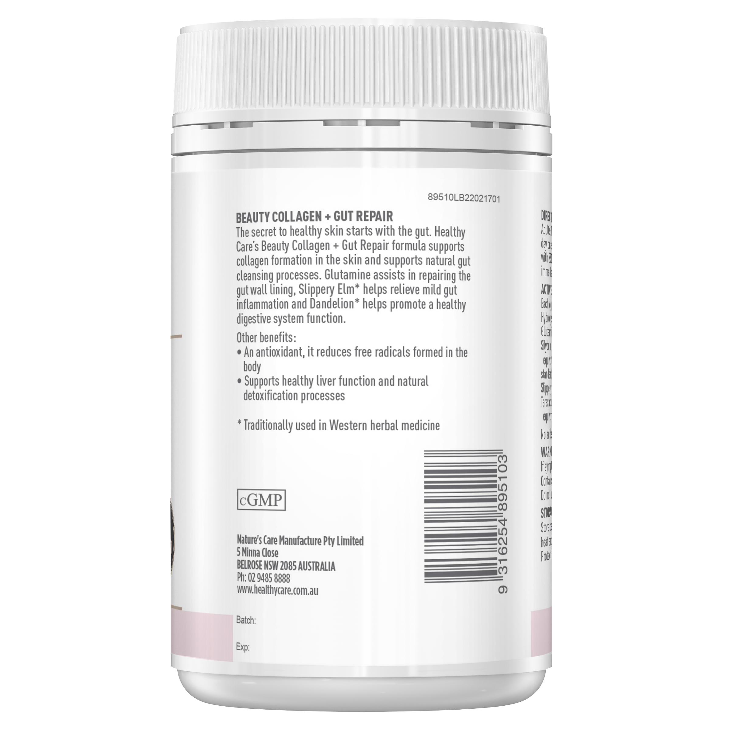 Healthy Care Beauty Collagen + Gut Repair 120g